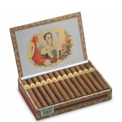 玻利瓦尔 小高朗拿